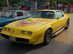 Trans Am 79-81 CA-8937-O