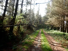 DSCN2081 DSCN2081
