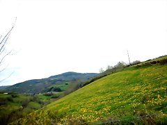 DSCN4078 DSCN4078