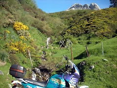 DSCN8080 DSCN8080