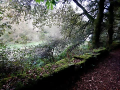 DSCN3743