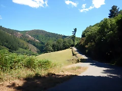 DSCN7765 DSCN7765