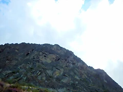 DSCN7033 DSCN7033