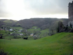 DSCN2829 DSCN2829