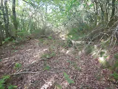 DSCN2096 DSCN2096