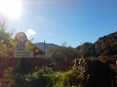 DSCN4197