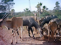 PIC04814