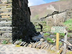 IMG_0124 IMG_0124