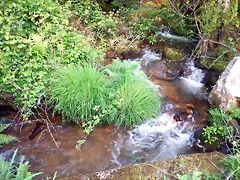 DSCN2107 DSCN2107