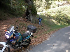DSCN0074 DSCN0074
