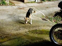 DSCN2239