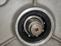 DSCN9351