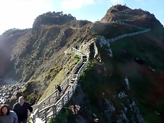DSCN3102 DSCN3102