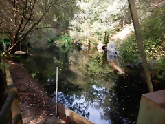 DSCN8444