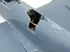 SDC39445 SDC39445