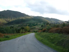 DSCN9290 DSCN9290