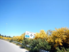 DSCN2297 DSCN2297