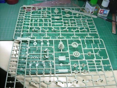 DSCN2738 DSCN2738