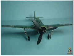 fw-190 - 07 (8)