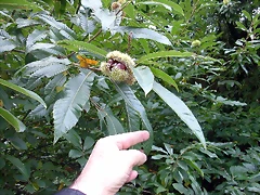 DSCN5305 DSCN5305