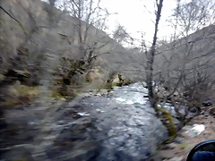 DSCN3350 DSCN3350
