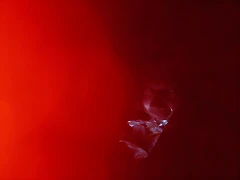 DSCN3740 DSCN3740
