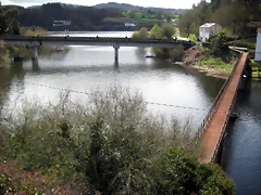 IMG_2405 IMG_2405