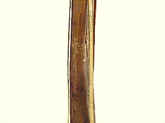 RELICARIO Brazo de San Jorge de la Reina de Chipre