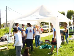P1040844 P1040844