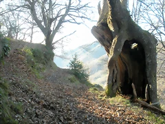 DSCN3007 DSCN3007