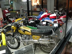 DSCN3117 DSCN3117