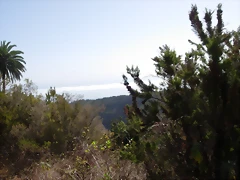 DSCN7328 DSCN7328