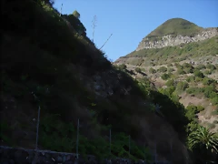 DSCN7275