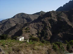 DSCN7271