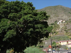 DSCN7285