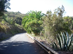 DSCN7325 DSCN7325