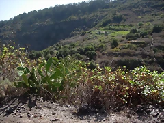 DSCN7341 DSCN7341