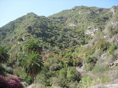 DSCN7378 DSCN7378