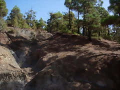 DSCN7331 DSCN7331