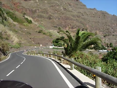 DSCN7310 DSCN7310