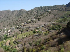 DSCN7362 DSCN7362
