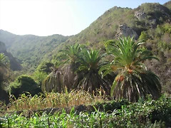 DSCN7370 DSCN7370