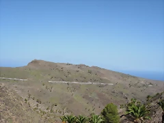 DSCN7498