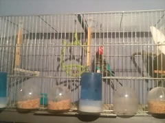 20170409_201108