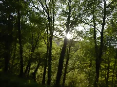 DSCN2133 DSCN2133