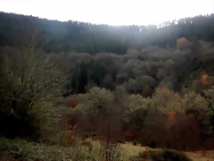 DSCN3139 DSCN3139