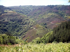 DSCN5024 DSCN5024