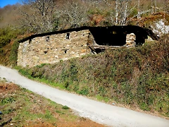 DSCN3918