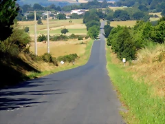 50-IMG_2391