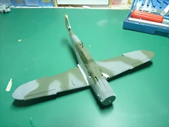 P1100207